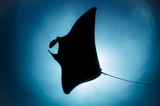 Nusa Penida Island Small-Group Trip With Snorkeling and Lunch  - Seminyak - Traveler Requirements