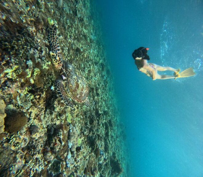 Nusa Penida Island - Sunset & Three Island Snorkelling Trip - Safety and Considerations