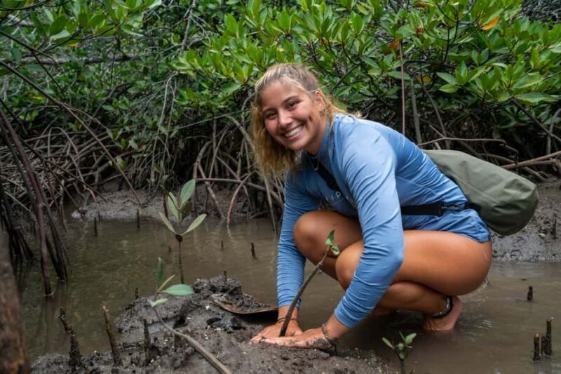 Nusa Penida/Lembongan: Mangrove Reforestation & Kanoe Tour - Good To Know