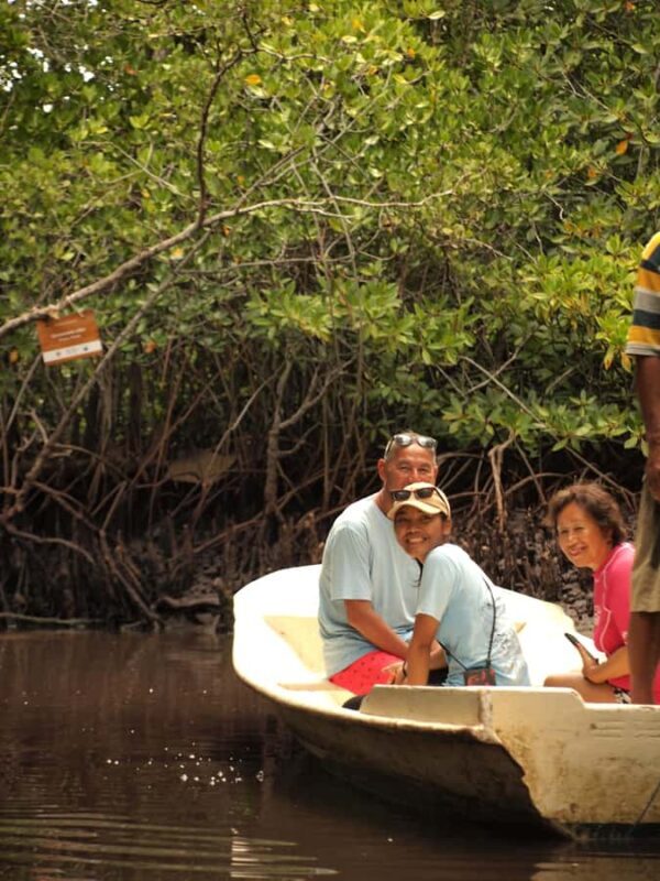 Nusa Penida/Lembongan: Mangrove Reforestation & Kanoe Tour - The Sum Up