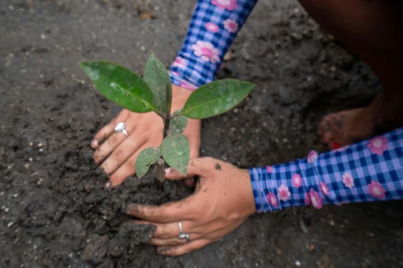 Nusa Penida/Lembongan: Mangrove Reforestation & Kanoe Tour - Final Thoughts