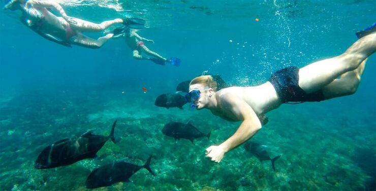 Nusa Penida: Manta Point Snorkeling Tour - Itinerary Details