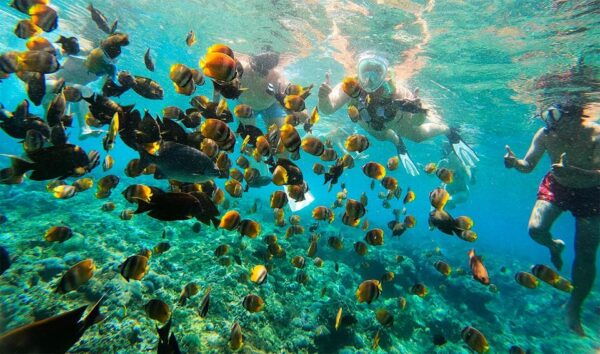 Nusa Penida: Manta Point Snorkeling Tour - Safety Information