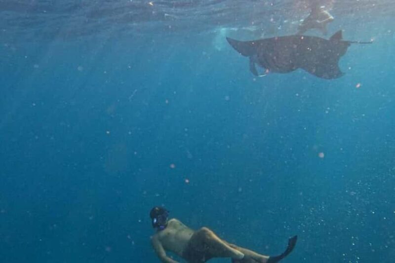 Nusa Penida: Manta Point Snorkeling with Lunch and Pick Up - Good To Know  