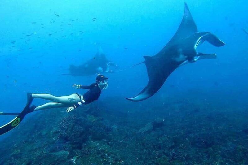 Nusa Penida: Manta Point Snorkeling with Lunch and Pick Up - Good To Know