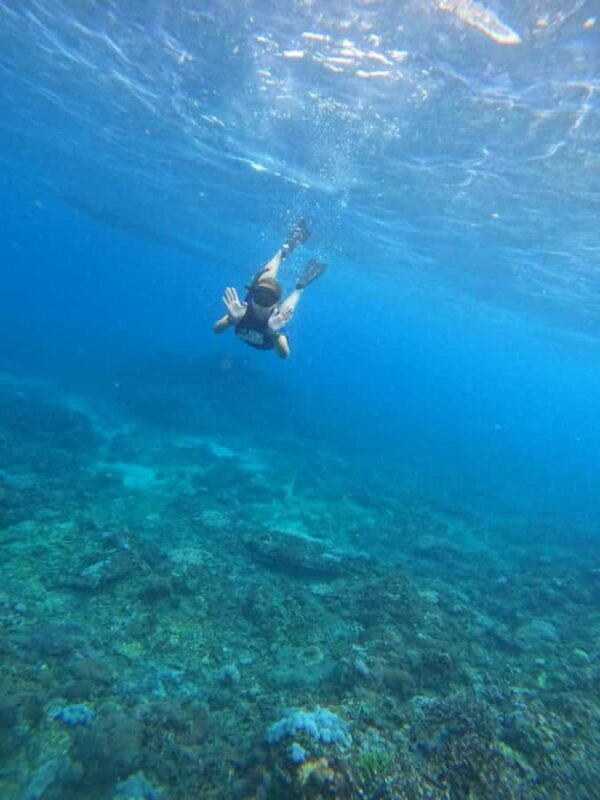 Nusa Penida: Manta Point Snorkeling with Lunch and Pick Up - Final Thoughts: Who Should Consider This Tour?