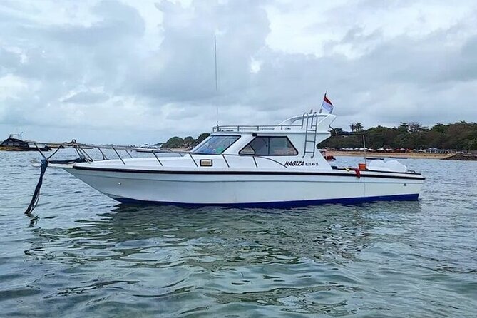 Nusa Penida Manta Ray Scuba: Certified or Uncertified Divers (Feb ) - Customer Reviews
