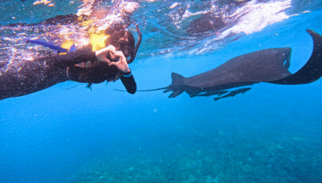 Nusa Penida & Nusa Lembongan Snorkeling + Island Day Tour - Snorkeling Highlights