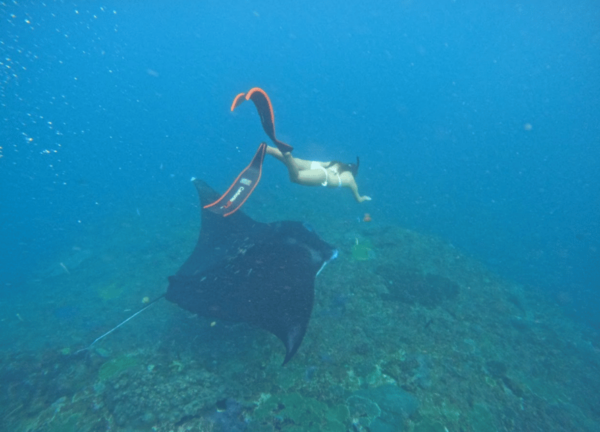 Nusa Penida & Nusa Lembongan Snorkeling + Island Day Tour - Questions You May Have
