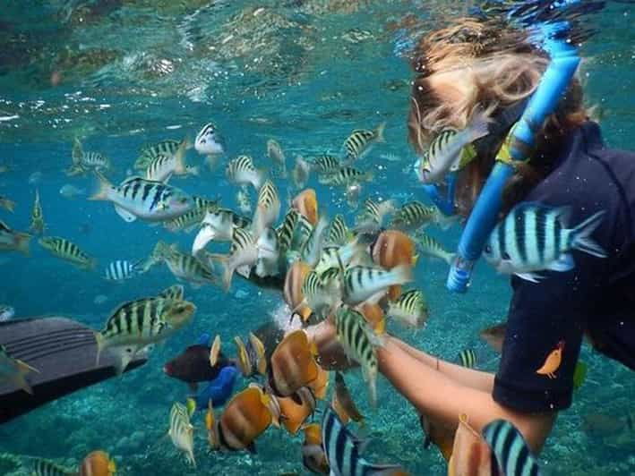 Nusa Penida Package 2D1N : Snorkeling and Tour Island - Detailed Itinerary