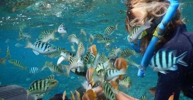 Nusa Penida Package 2D1N : Snorkeling and Tour Island - Day One Activities
