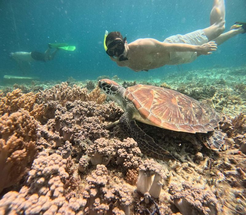 Nusa Penida Premium Snorkeling & Sightseeing Tour - Sightseeing by road, with Adi at the wheel