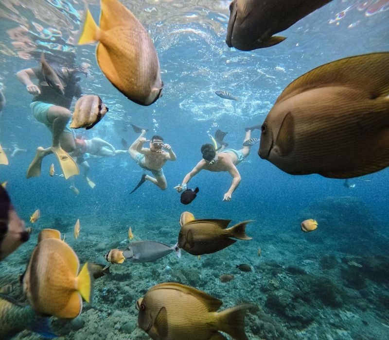 Nusa Penida Premium Snorkeling & Sightseeing Tour - What the private format means for you