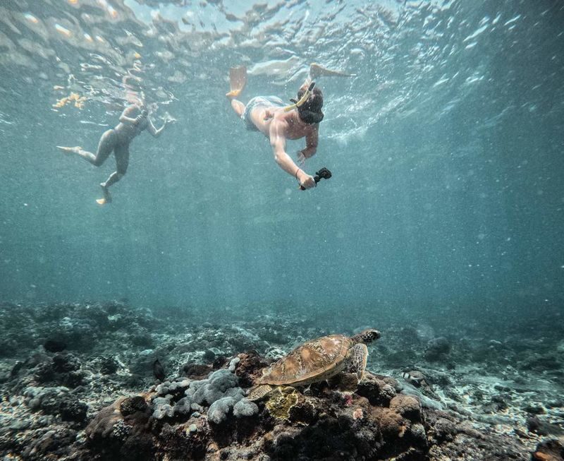 Nusa Penida Premium Snorkeling & Sightseeing Tour - A few details to settle before departure