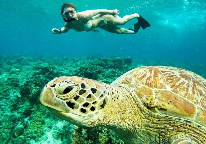 Nusa Penida: Private Manta Bay 5 Spot Snorkeling Trip - Important Information