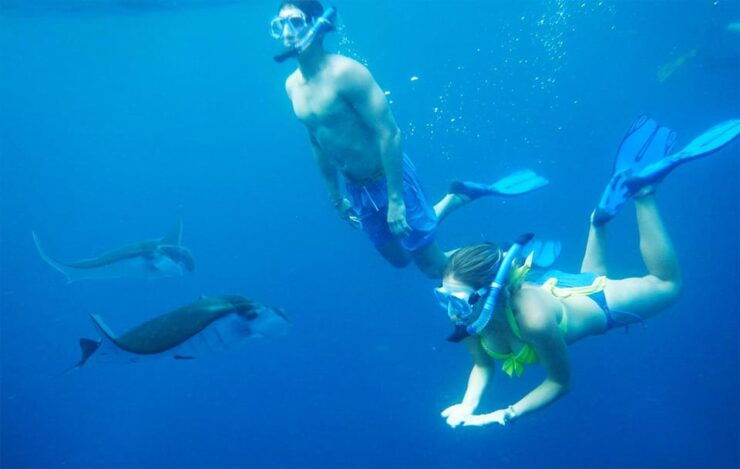 Nusa Penida Private Manta Point Snorkeling And Land Tour - Itinerary and Activities