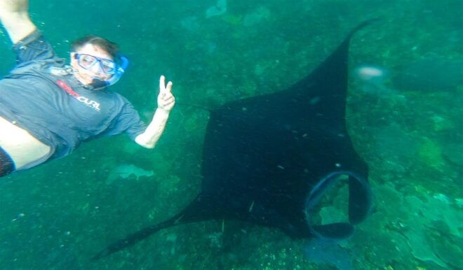 Nusa Penida Private Manta Point Snorkeling And Land Tour - Snorkeling Highlights