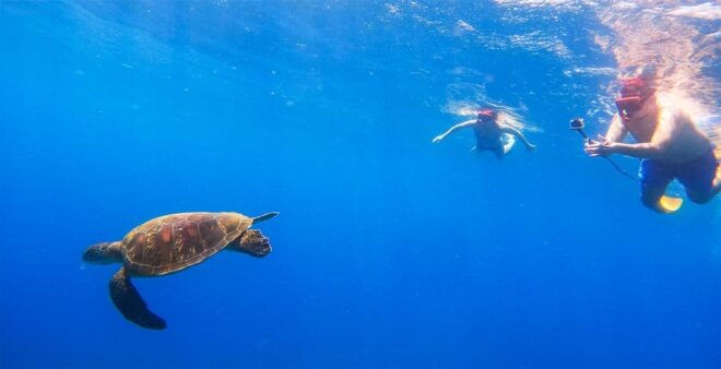 Nusa Penida Private Manta Point Snorkeling And Land Tour - Important Information