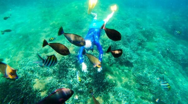 Nusa Penida Private Manta Point Snorkeling And Land Tour - Manta Point Experience
