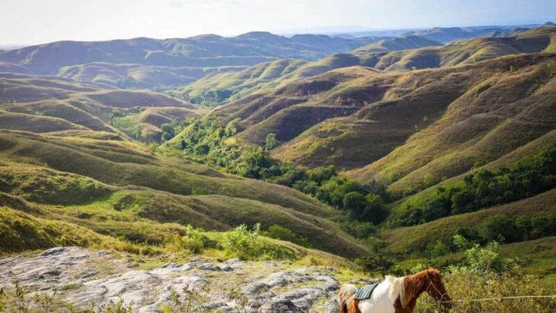 Nusa Penida: Private Nusa Penida Full Day Tour All includes - The Sum Up