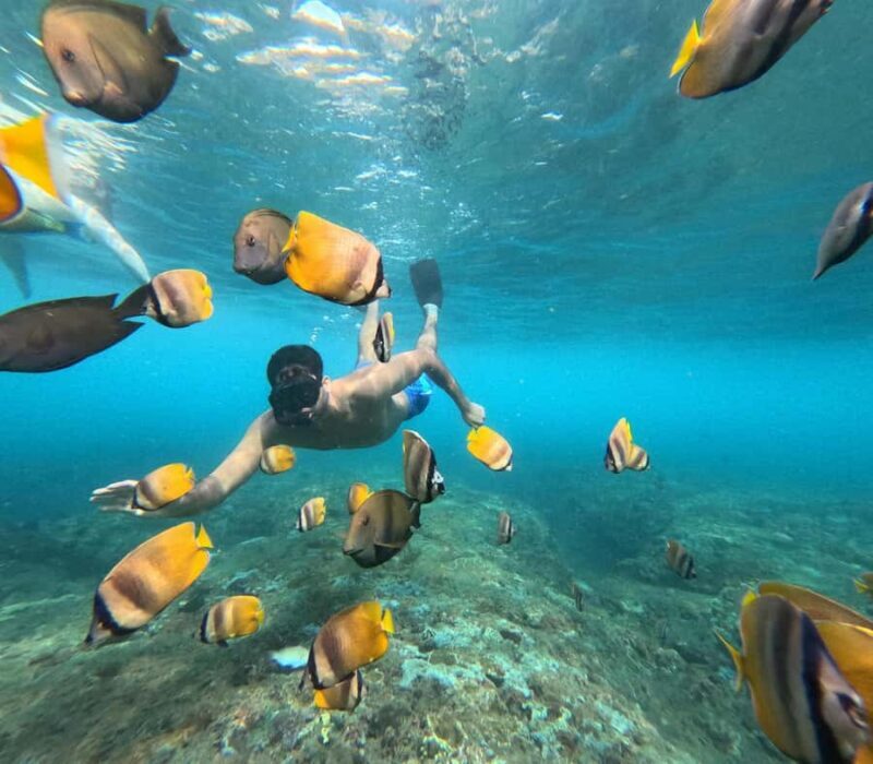 Nusa Penida: Private Snorkel, Chill Stop & Kelingking Sunset - FAQ