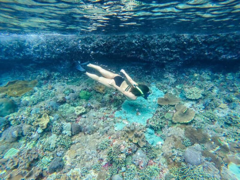 Nusa Penida: Private Snorkel, Chill Stop & Kelingking Sunset - The Practicalities: What You Need to Know