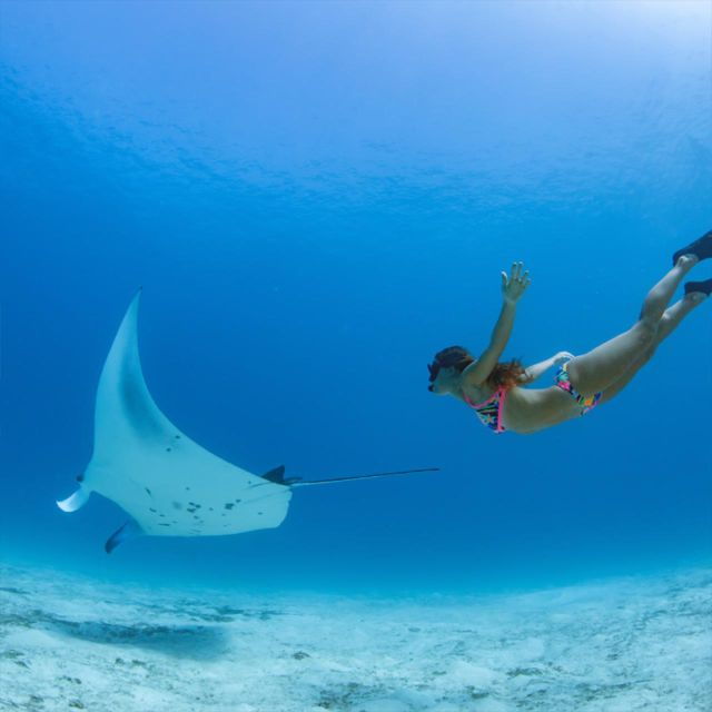 Nusa Penida: Private Snorkeling Boat Trip With Manta Rays - Trip Details