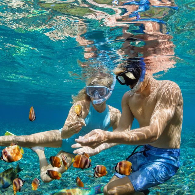 Nusa Penida: Private Snorkeling Boat Trip With Manta Rays - Highlights of the Trip