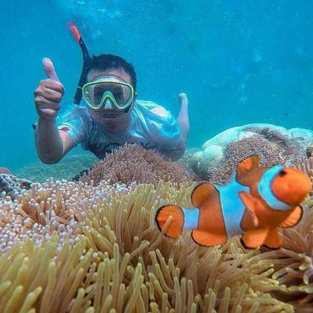 Nusa Penida: Private Snorkeling Boat Trip With Manta Rays - Activity Details