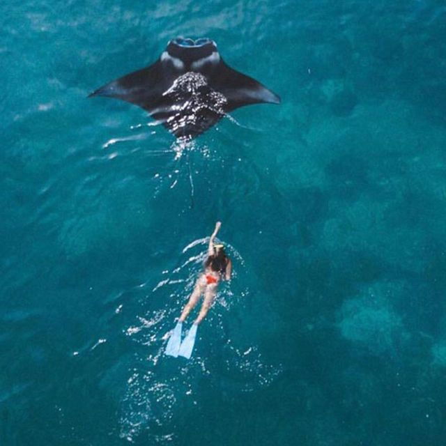Nusa Penida: Private Snorkeling Boat Trip With Manta Rays - Experience
