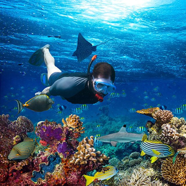 Nusa Penida: Private Snorkeling Boat Trip With Manta Rays - Full Description