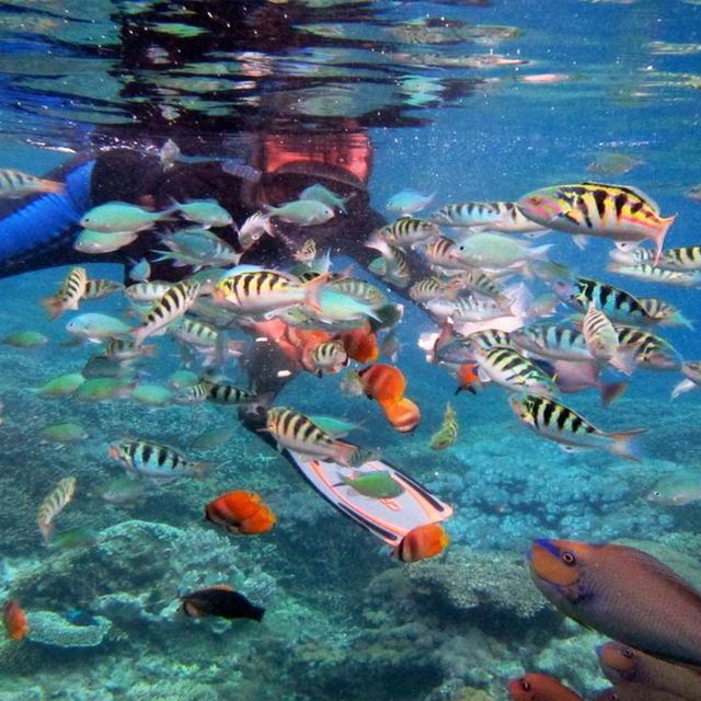 Nusa Penida: Private Snorkeling Boat Trip With Manta Rays - Location and Additional Information