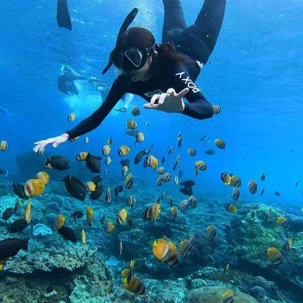 Nusa Penida: Private Snorkeling Boat Trip With Manta Rays - Background