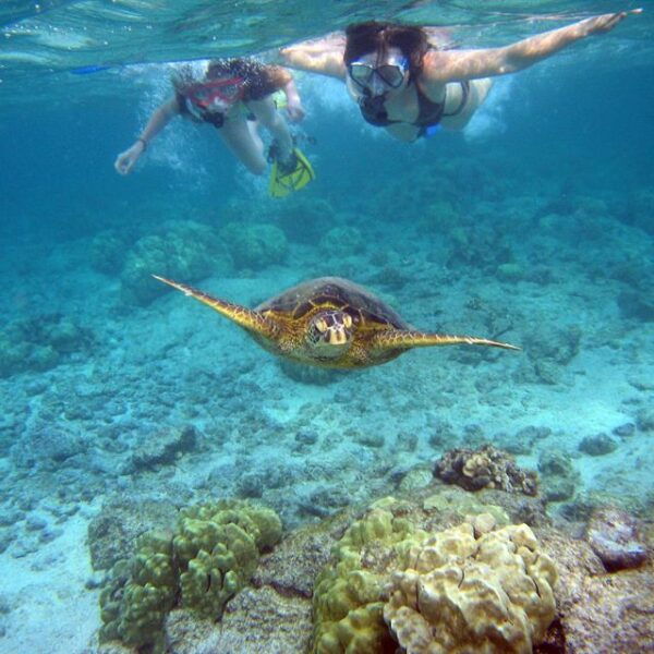Nusa Penida: Private Snorkeling Boat Trip With Manta Rays - Directions