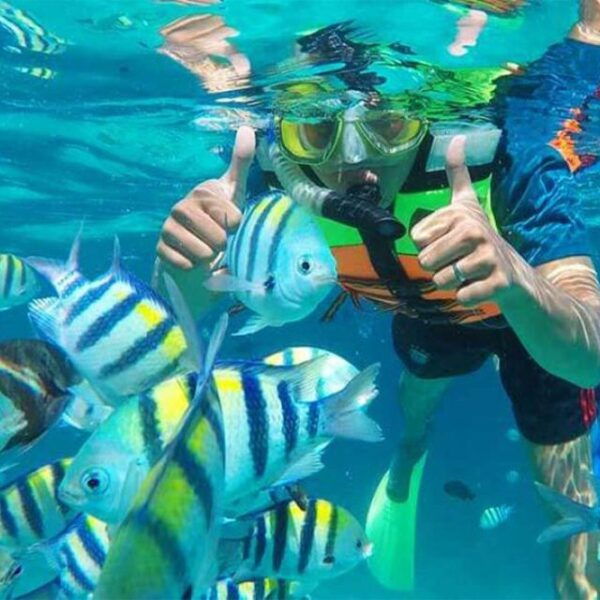 Nusa Penida: Private Snorkeling Boat Trip With Manta Rays - The Sum Up