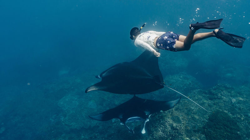Nusa Penida Private Snorkeling Tour by Premium Speedboat - Who will get the most from this trip?