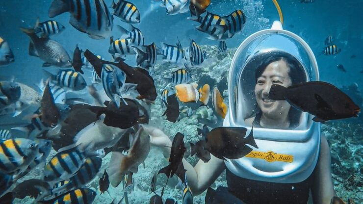 Nusa Penida: Sea Walker Experience - Activity Details