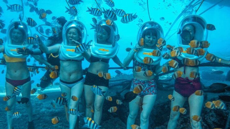 Nusa Penida: Sea Walker Experience - Experience Highlights