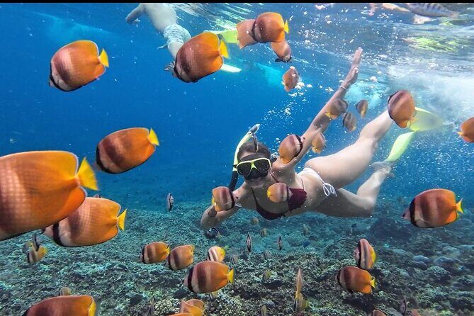 Nusa Penida Sharing Snorkeling with West Tour - Exploring the Itinerary: A Day of Wonders on Nusa Penida