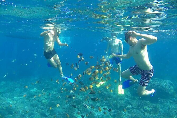 Nusa Penida Sharing Snorkeling with West Tour - Is This Tour Right for You?