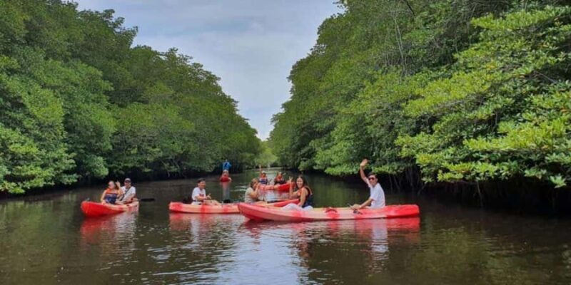 Nusa Penida: Snorkeling 3 Spots with GoPro & Kayak Mangroves - Who Will Love This Tour?