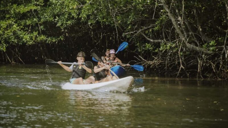 Nusa Penida: Snorkeling 3 Spots with GoPro & Kayak Mangroves - Final Thoughts: Is This Tour Worth It?