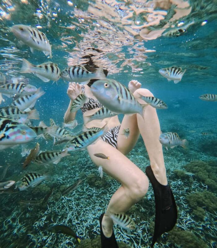 Nusa Penida: Snorkeling 3 Spots with GoPro & West Land Tour - What to Expect from the Tour