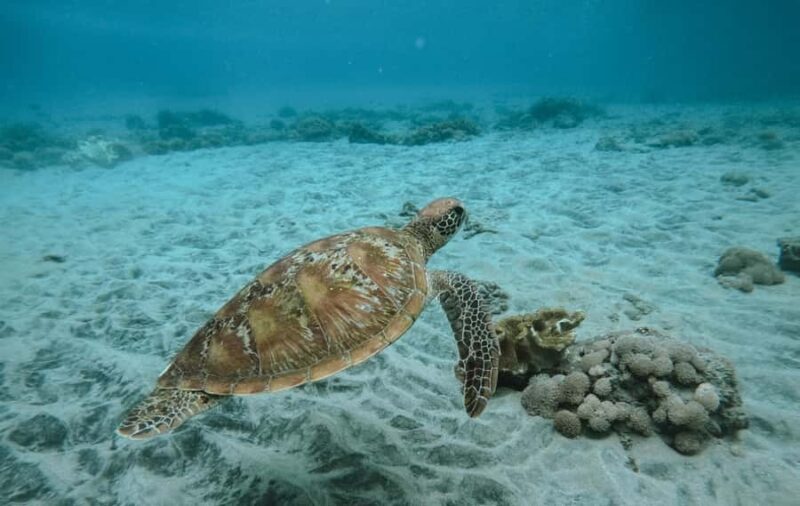 Nusa Penida: Snorkeling 3 Spots with GoPro & West Land Tour - The Full Itinerary Breakdown