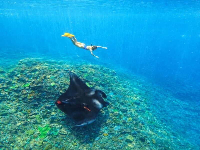Nusa Penida: Snorkeling 3 Spots with GoPro & West Land Tour - Who Will Love This Tour?