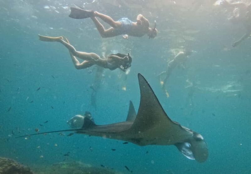 Nusa Penida: Snorkeling 3 Spots with GoPro & West Land Tour - An In-Depth Look at the Tour Experience