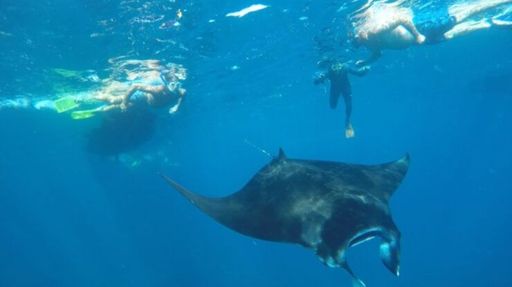Nusa Penida: Snorkeling 3 Spots With Manta Options - Snorkel at Crystal Bay