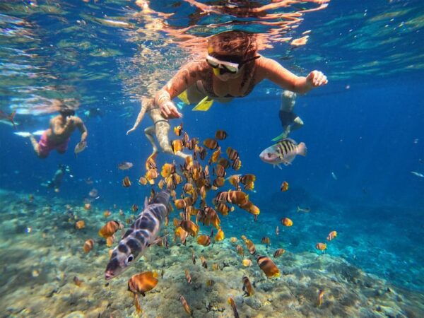 Nusa Penida: Snorkeling at 4 Spots W/ Local Guide & Pictures - Turtle Point Exploration