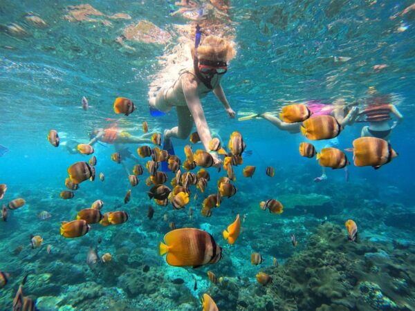 Nusa Penida: Snorkeling at 4 Spots W/ Local Guide & Pictures - Benefits of Included Amenities