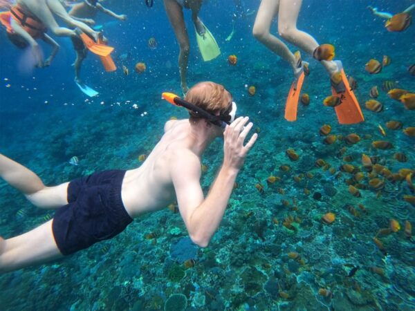 Nusa Penida: Snorkeling at 4 Spots W/ Local Guide & Pictures - Customer Reviews and Insights